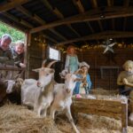 Jeremy Clarkson and Kaleb Cooper looking inside a shed with goats.